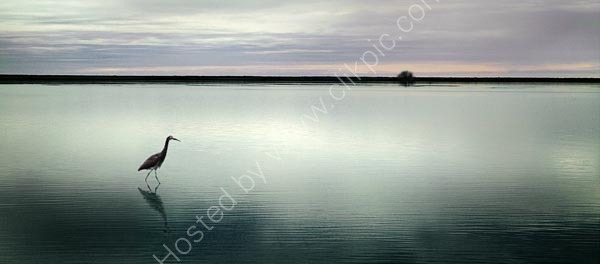 Hunting for supper